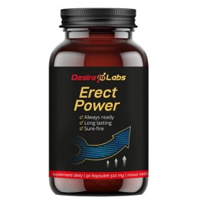 Desire Labs (PL) Erect Power 90 kaps.