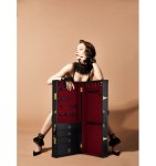 EKSKLUZYWNA WALIZKA NA ZABAWKI BDSM - UPKO Sade Trunk