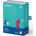 Sexy Secret Panty Vibrator