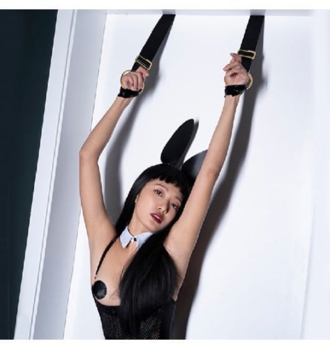 Upko Over the Door Pair Wrist Restraints Set