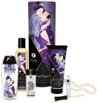 LUKSUSOWY ZESTAW DROGERYJNY DLA PAR - SHUNGA Carnal Pleasures Kit