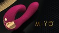 Shunga MIYO 5.jpg