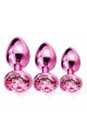NIXIE METAL BUTT PLUGÂ TRAINERÂ SET, PINK METALLIC