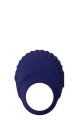 BLUE EVOLUTION PALLAS