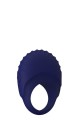 BLUE EVOLUTION PALLAS