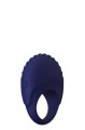 BLUE EVOLUTION PALLAS