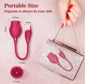 ROSE Miss Coyness USB 10 function