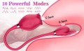 ROSE Miss Coyness USB 10 function