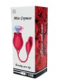 ROSE Miss Coyness USB 10 function