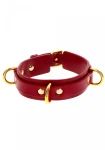 D-Ring Collar Deluxe Red