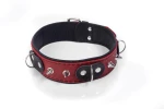 SKÓRZANA OBROŻA Z KOLCAMI - WHIPS Collar Crazy Horse Red, Small