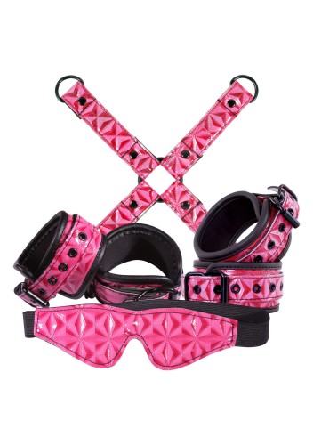 bondage-kit-pink.jpg