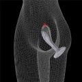 Flawless Clear Prostate Plug 6.0''