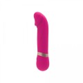 Dildo Vibe