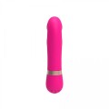 Dildo Vibe