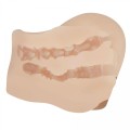 CRAZY BULL - Mila, Vibration Double holes  TPR ABS