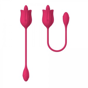 WIELOFUNKCYJNY WIBRATOR - B-SERIES 