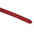 Liebe Seele Kinbaku Ukiyoe Bal Gag with Red Rosy Leather Straps