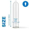 Pasante King Size Condoms Bulk Packs 144 pcs