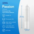 Pasante Ribbed/Passion Condoms 12 pcs