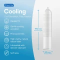 Pasante Cooling Condoms Bulk Packs 144 pcs