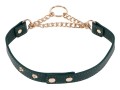 Day Collar