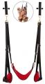 Bad Kitty Door Swing