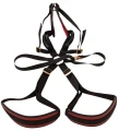 Bad Kitty Body Swing