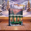 Satisfyer Advent Calendar 2026 Deluxe